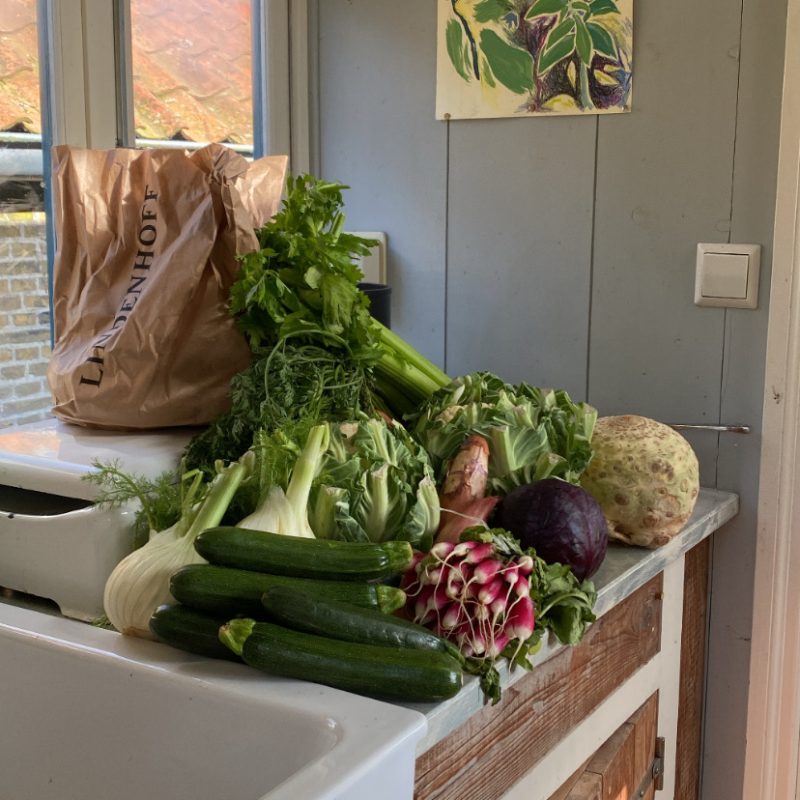 retreat chef Nederland privé chef retreat kok voor retraite boeken gezonde catering retreat plant-based retreat chef chef voor yoga retreat chef voor vrouwen retreat holistische retreat chef chef voor wellness retreat